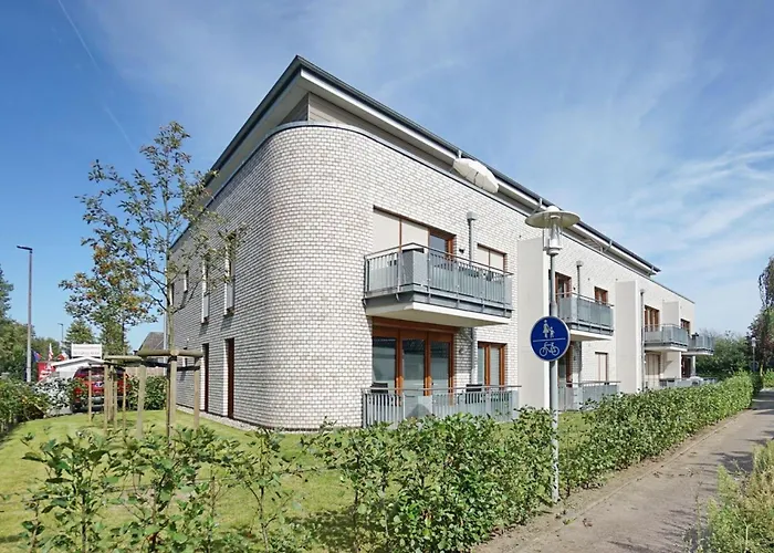 Bernstein Mare Rose 3